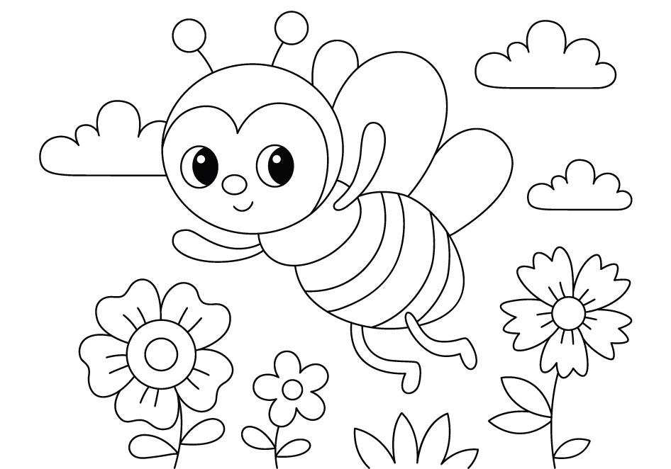 Insekter
